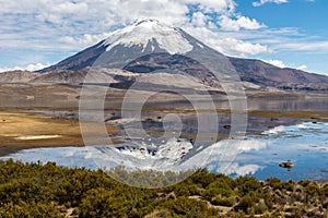 Parinacota volcano and Chungara lake (Chile)