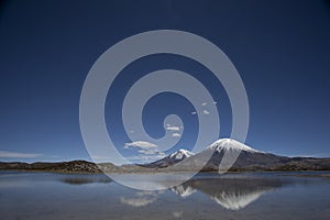 Parinacota Volcano Cone in Nacional Parque Lauca, Chile photo