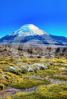 Parinacota volcano. High Andean landscape in the Andes. High Andean tundra landscape in the mountains of the Andes