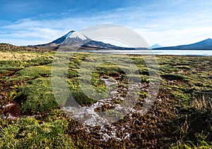 Parinacota Volcano, Lake Chungara, Chile