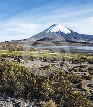 Parinacota Volcano, Lauca, Chile photo