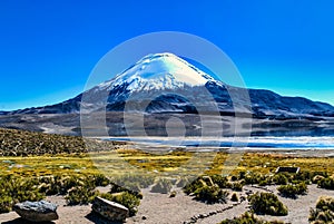 Parinacota Volcano in Lauca National Park, Chile