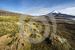 Parinacota Volcano reflected in Lake Chungara, Chile