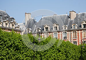 Paris Ancient building in bright greenery Vintage lights