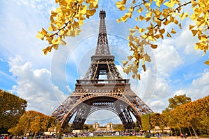 Paris autumn foliage