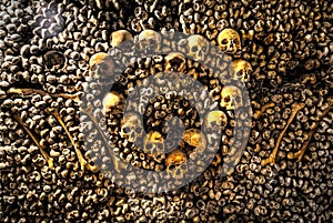 Paris-Catacombs-Dead-1 photo