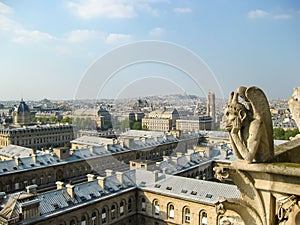 Paris cityscape seen from top of Notre-dame Cathedral, France