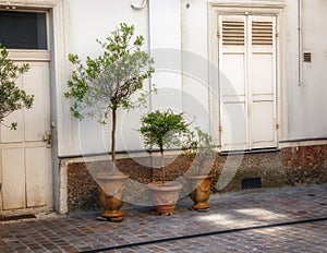 Paris courtyard