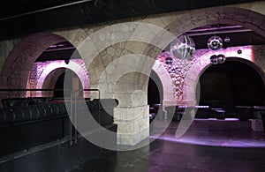 Paris Discotheque under the bridge photo