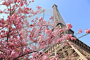 Paris, France - Eiffel Tower at spring