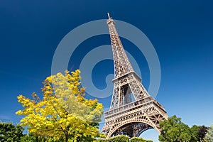 Eiffel Tower from the Champ de Mars gardens in summer.