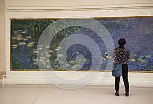 Paris, France, Musee de l`Orangerie, NymphÃÂ©as, Claude Monet, museum, Water Lilies, impressionism, impressionist, painting