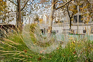 Paris, France - November 14th 2021: Wilderness in an urban street in the municipality of Lilas.