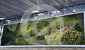 Paris, june 23th: Natural Green Wall interior from Charles de Gaulle Airport in Paris