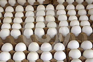 Paris market eggs