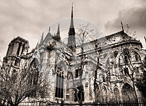 Paris Notre Dame cathedral