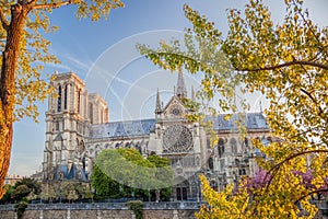 Paris, Notre Dame cathedral with spring trees in France