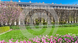 Paris, Palais-Royal, public garden