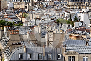 Paris rooftops in Summer with roof gardens and Mansard roofs. France