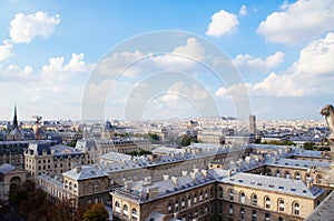 Paris skyline view from Notre Dame