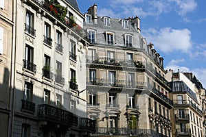 Paris street