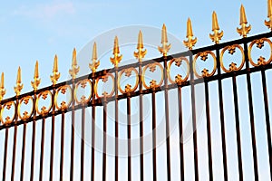 Paris Tuileries gold leaf grille surrounding the garden