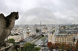 Paris view
