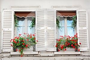 Paris windows