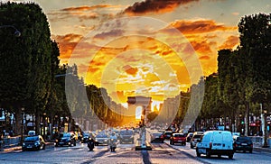 Parisian Champs Elysees