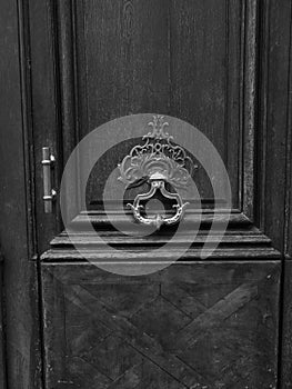Parisian Detail: Brass Door Knocker