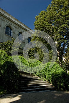 Parisian Garden