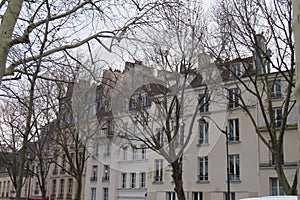 parisian houses and trees, typical city view