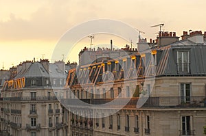 Parisian roofs photo