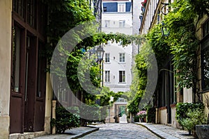 Parisian street with green vines on the walls of residential buildings in Illes district of Paris, France photo