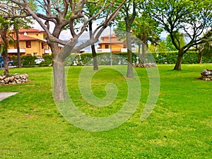 The park adjacent to the Primo Maggio lake photo