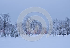 Park Aleksandriya v zimnie sumerki Rossiya Petergof priroda