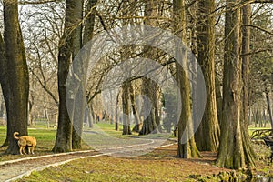 Park alley