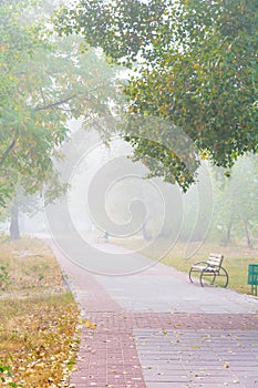 Park alley in the fog