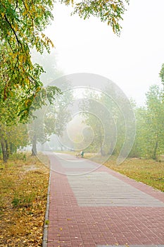 Park alley in the fog