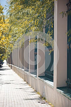 Park alley and metal fence