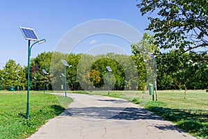 Park alley in Tineretului Park photo