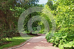 Park alley. View of Sofiyivsky Park botanical garden in Uman city, Ukraine