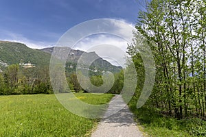 Park of the Annone lake, italy photo