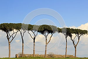 Park of the Aqueducts