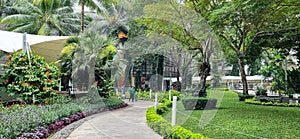 The park area in the mall is equipped with pedestrian paths for visitors to enjoy the natural beauty in the middle of the city.