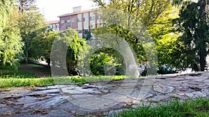 A park area with a pedestrian path made of flat large stones, in the background the lawn is watered by slightly eroded