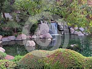 Park in Arizona with a Koi pond with a waterfall