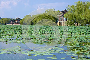 Park around the Summer Palace and Lake Kunming, Beijing