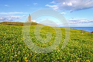 Park around the Tower of Hercules