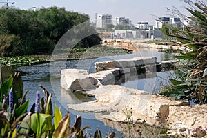 Park with an artificial lake on the outskirts of Beer Sheva